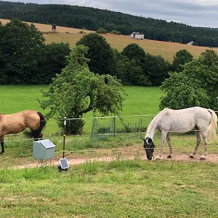 Ferienwohnungen Am Rohrbacher Hof Appartement *